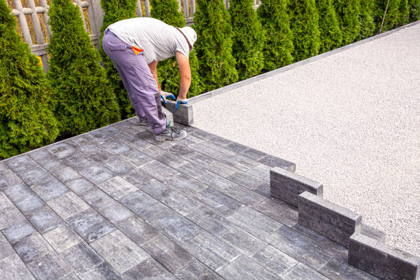 Best Local Driveway Pavers  in Walthourville, GA